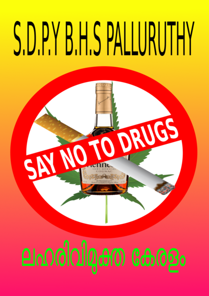 പ്രമാണം:26056 hsl09.PNG