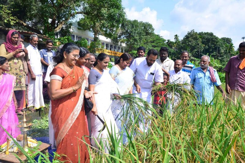 പ്രമാണം:29312 koithulsavam6.jpeg