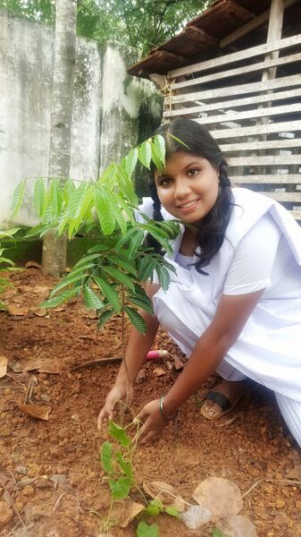 പ്രമാണം:35006 RC3.jpg