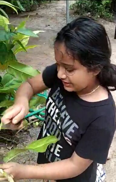 പ്രമാണം:36278 bs6.jpeg