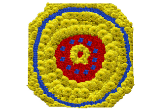 39006 fida fathima 2.png