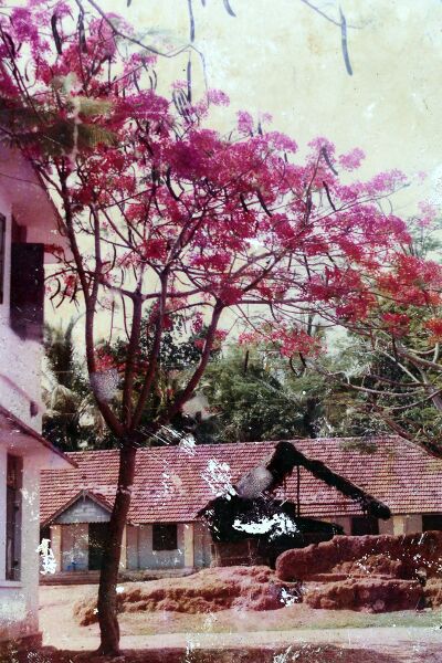 പ്രമാണം:43004 112.JPG