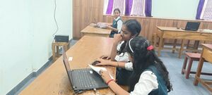 43085-e election 5.jpeg