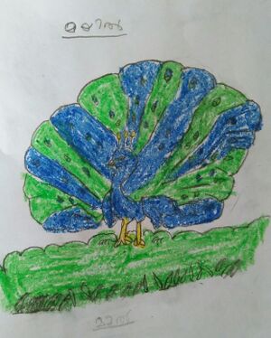 IMG 20240319 111309.jpg