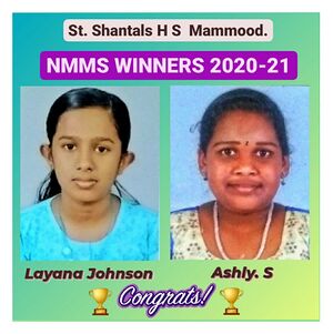 Ps21 ktm 33055 32.jpg