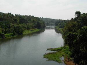 കല്ലടയാറ്.jpg