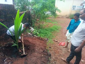 12011 ghss pakkam tree plantation.jpg