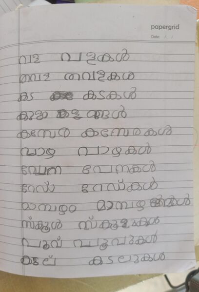 പ്രമാണം:15439 WYD KUNJ-ZANHA.jpeg