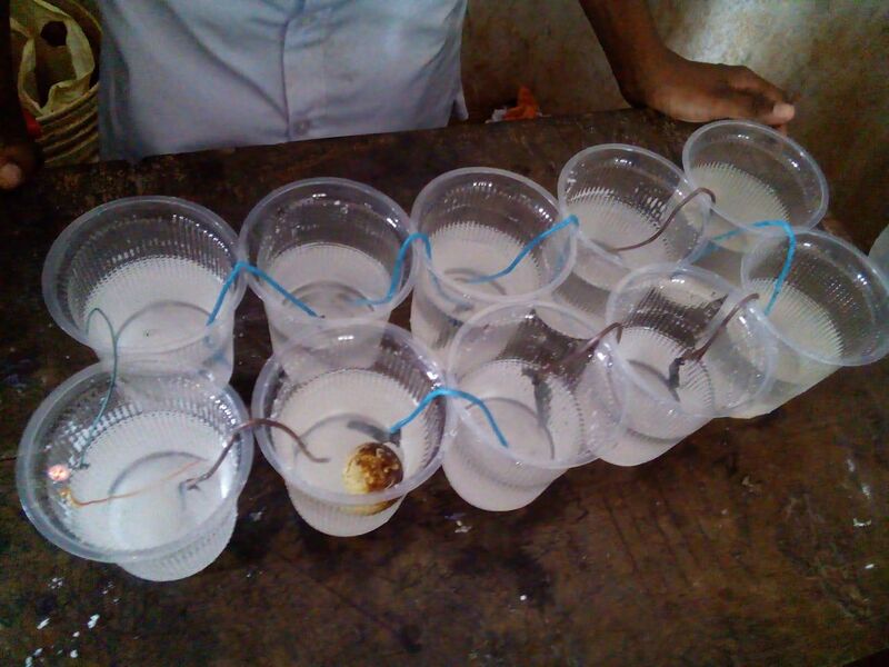 പ്രമാണം:19058-sciencefair 12.jpg