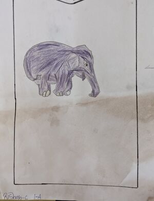 19964 MLP rishan.jpg