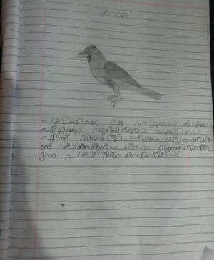 24073-TSR-KUNJ-ANAIVE K A.jpg