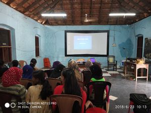 39006 lk1.resized.jpg