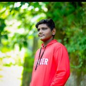 42086_adin