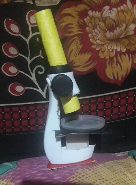 പ്രമാണം:44018 bs1.jpg