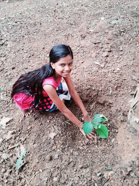 പ്രമാണം:44050 eco 41.jpeg