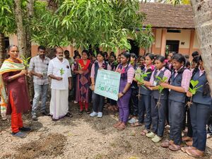 46038 changathikorumaram1.jpg