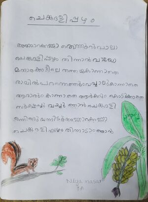 48140-MLP-KUNJ-NIYA NASER.jpeg