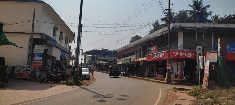 പ്രമാണം:48433 PALEMAD.jpg