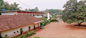 IMG 20231027 123436.jpg